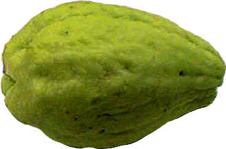 chayote squash whole